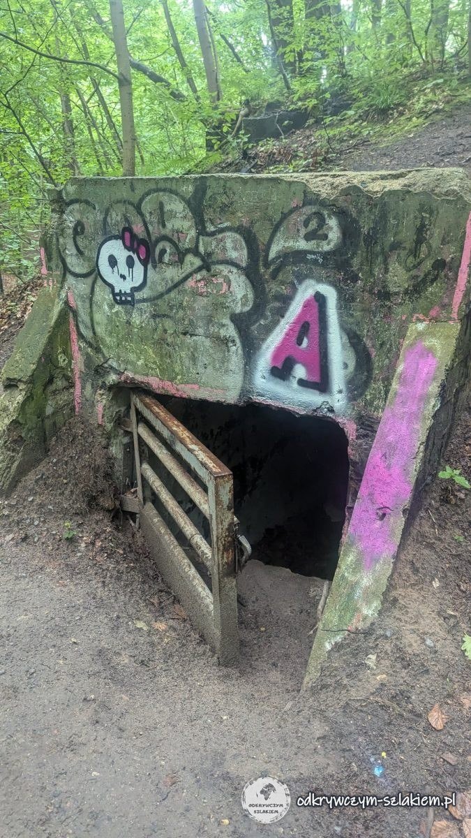 A concrete bunker covered in graffiti in the forest on Kępa Redłowska