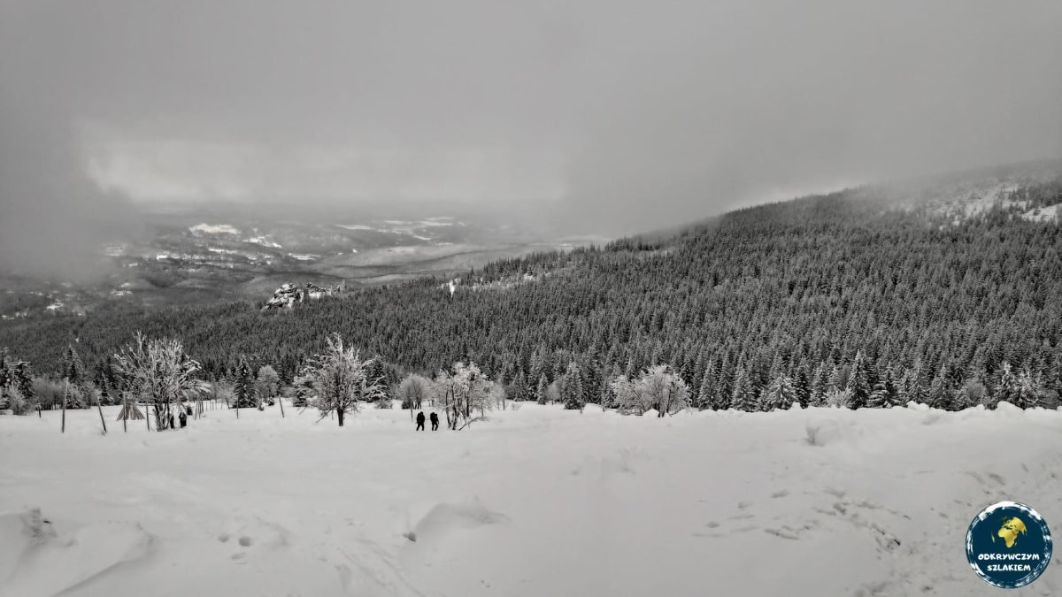Widok spod Schroniska pod Łabskim Szczytem na zalesione stoki Karkonoszy