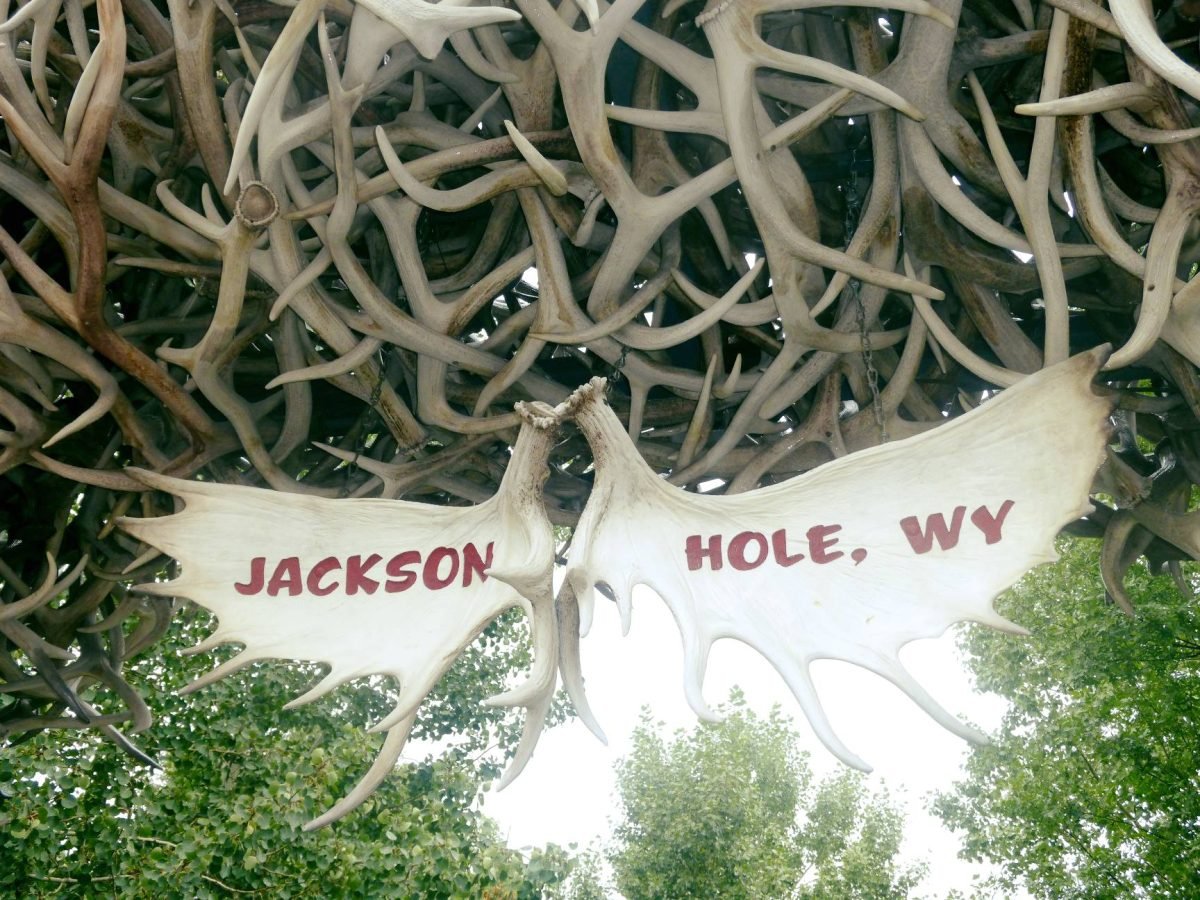 Brama z poroży jeleni wapiti w Jackson Hole