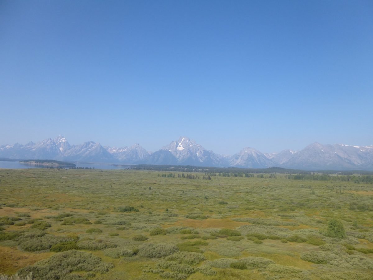 Łąki i pasmo Teton koło Jackson Lake Lodge