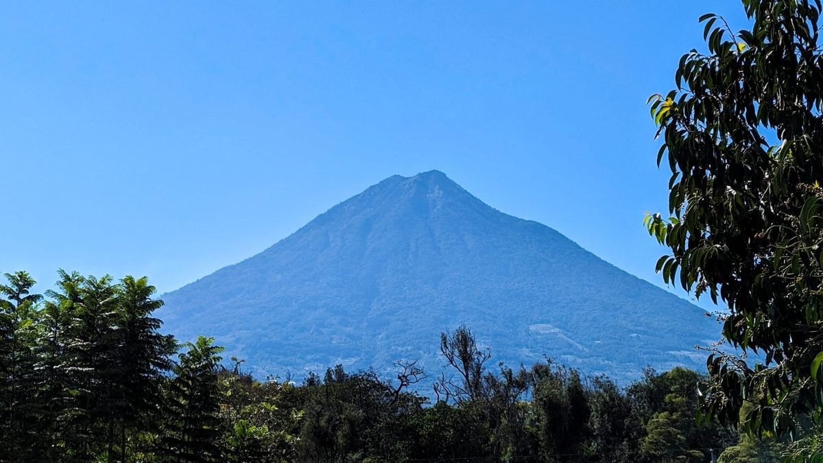 Stożek wulkanu Agua nad zielenią drzew w Antigua Guatemala