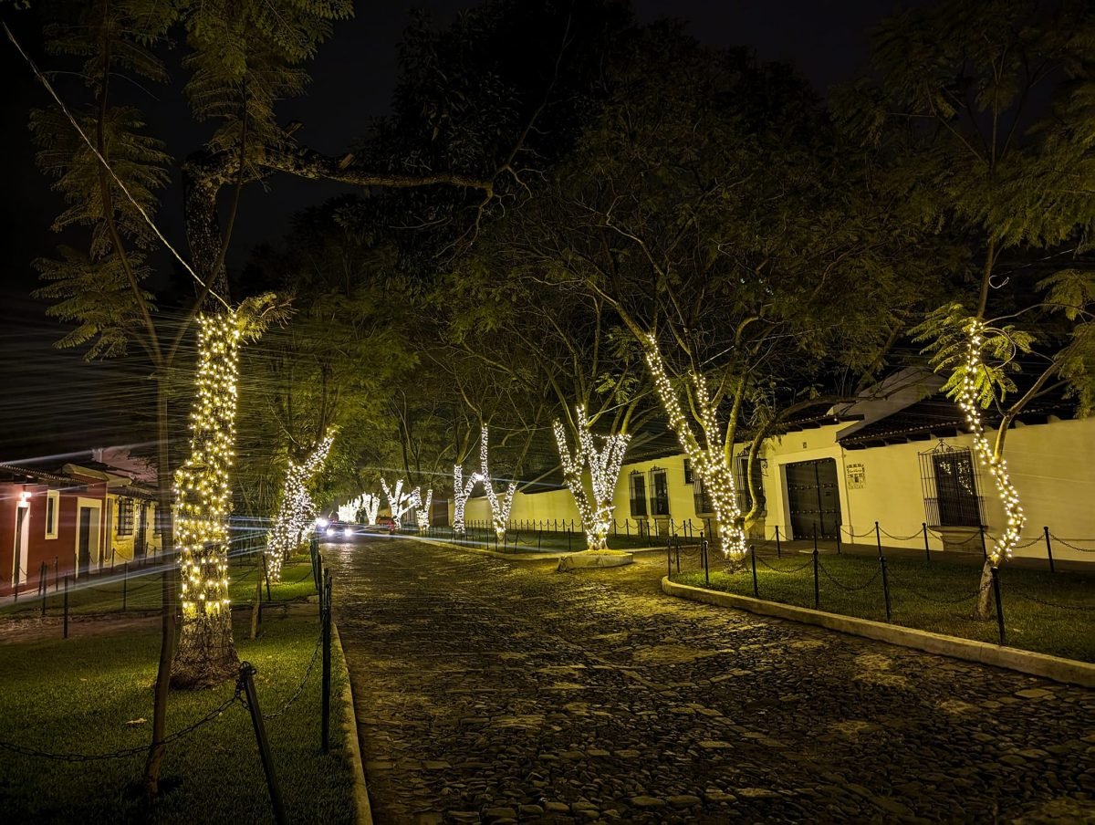 Drzewa owinięte świątecznymi lampkami na nocnej ulicy w Antigua Guatemala