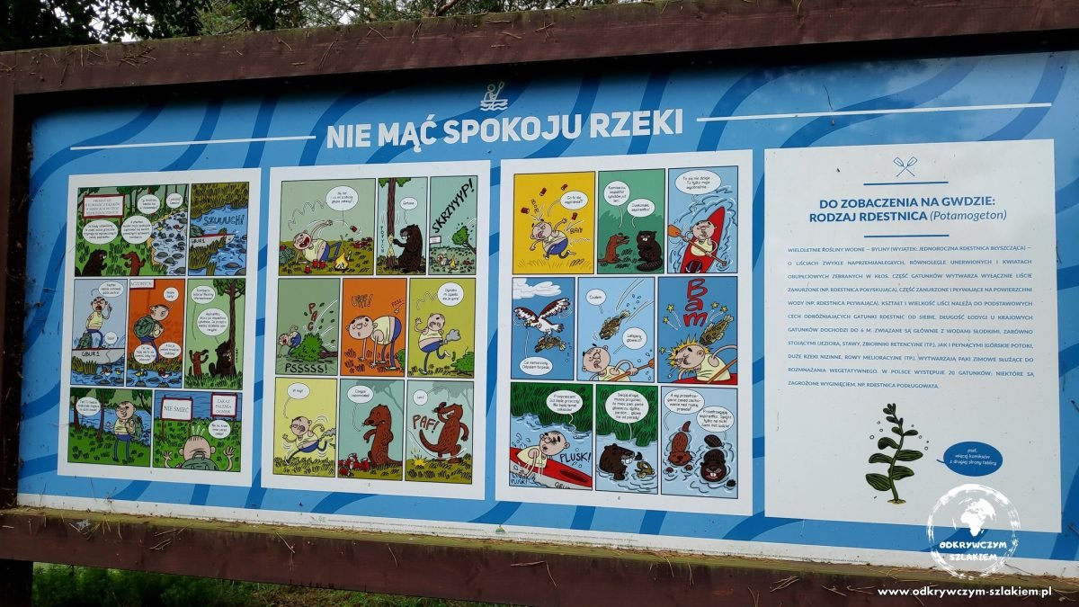 Tablica z edukacyjnymi komiksami o rzece „Nie mąć spokoju rzeki”
