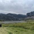 Jezioro w dolinie Lagos de Covadonga w Parku Narodowym Picos de Europa