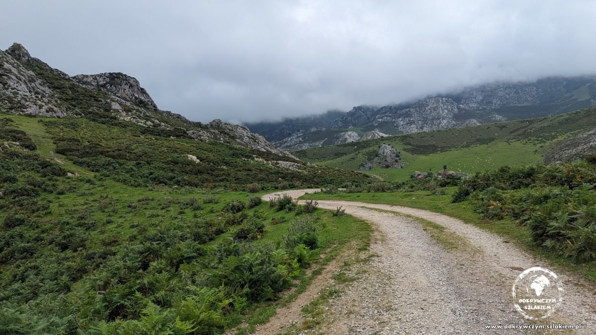 Szlak górski wśród zielonych łąk w Picos de Europa