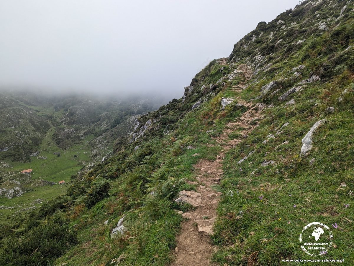 Wąska ścieżka na zboczu we mgle w Picos de Europa