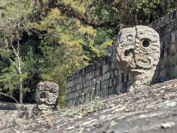 Kamienna rzeźba głowy przy murze ruin Copán