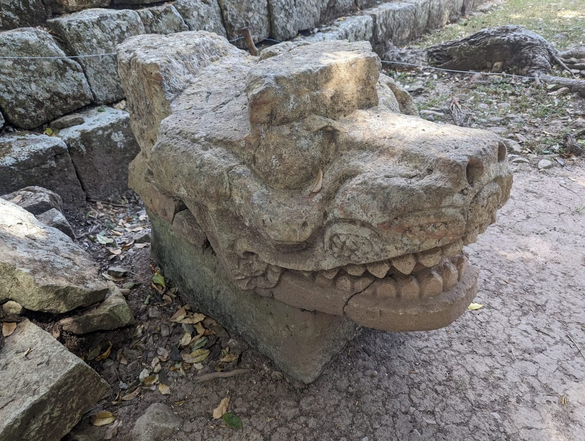 Kamienna głowa zwierzęcia z wyszczerzonymi zębami wśród ruin Copán