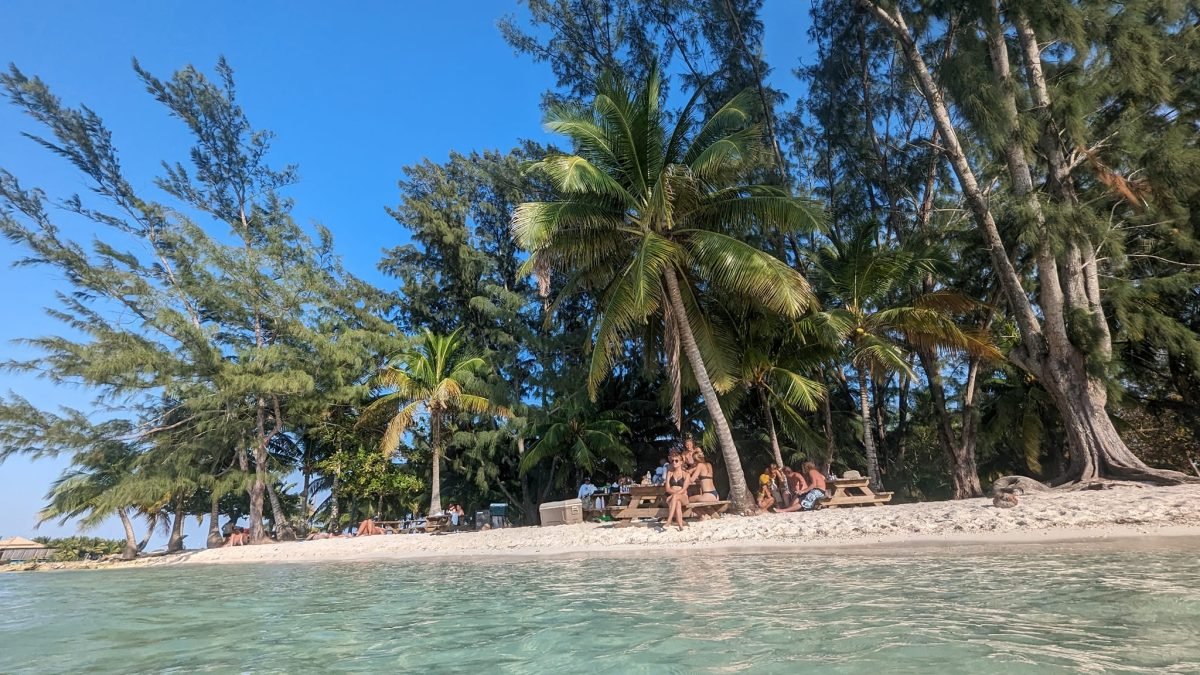 Plaża z palmami na bezludnej wysepce Water Cay koło Utili