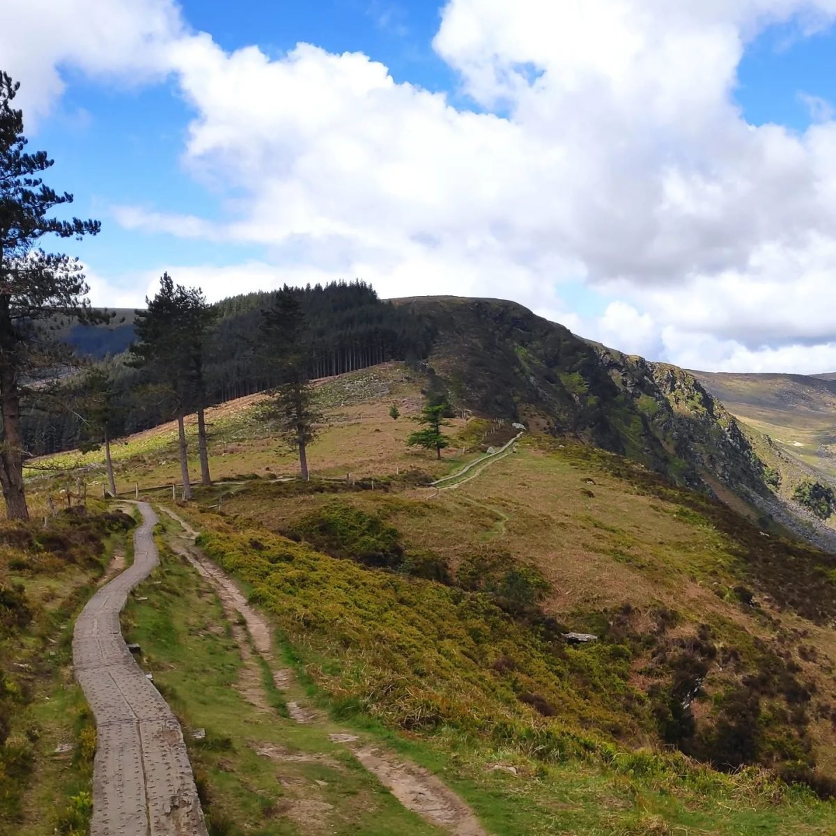 Ścieżka wśród trawiastych wzgórz nad doliną Glendalough