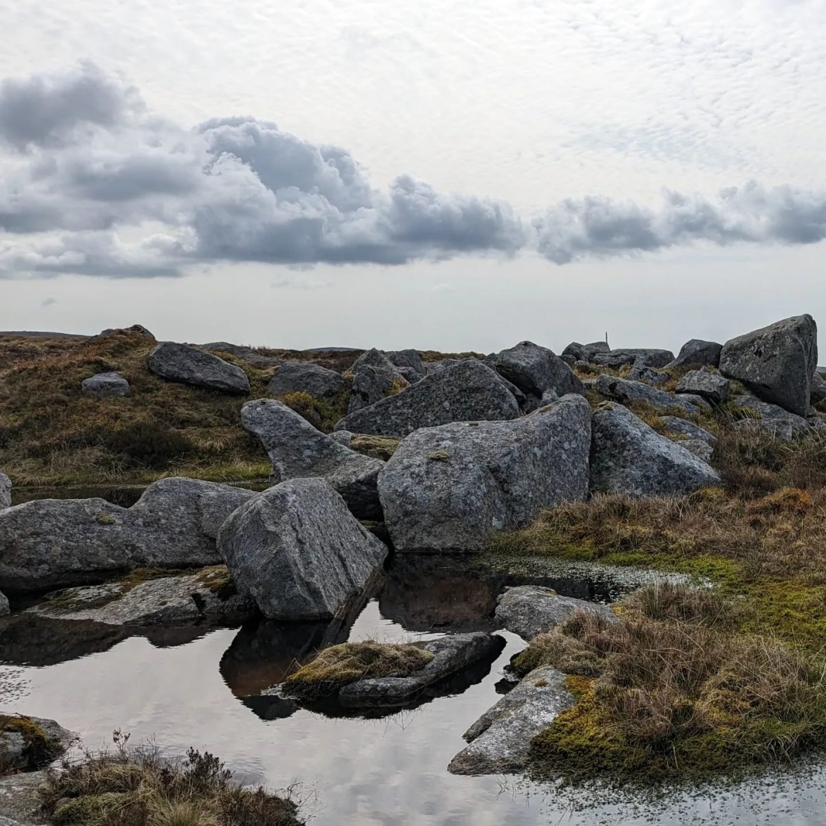 Granitowe głazy i torfowisko na szlaku w górach Wicklow