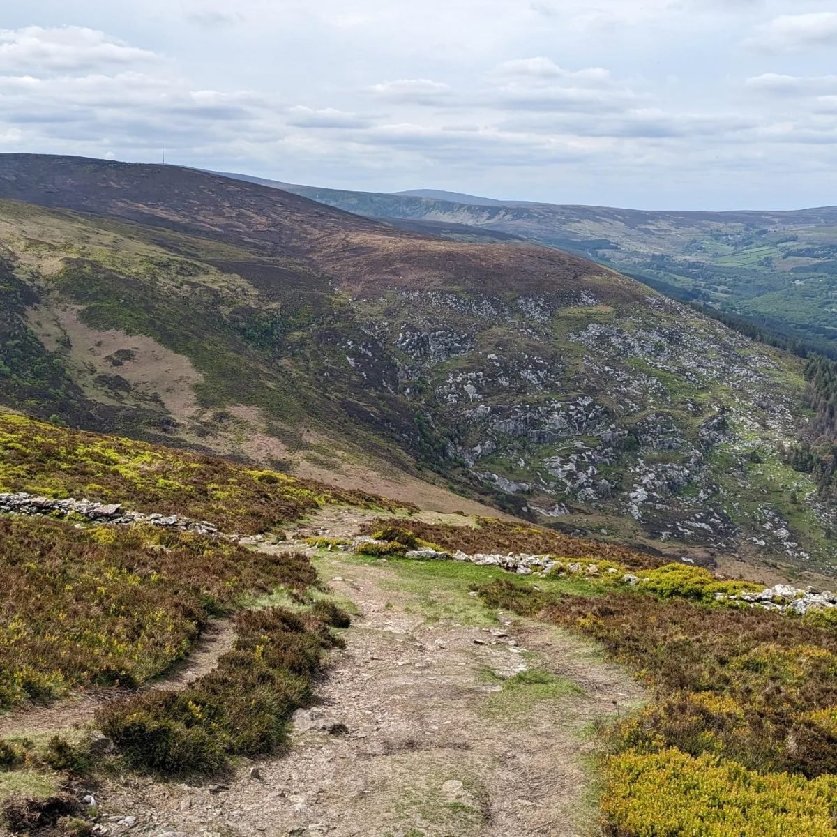 Szlak wśród wrzosowisk nad górską doliną w Wicklow