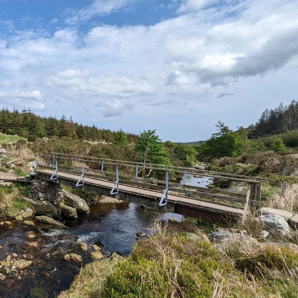 Drewniany mostek nad potokiem na szlaku w górach Wicklow