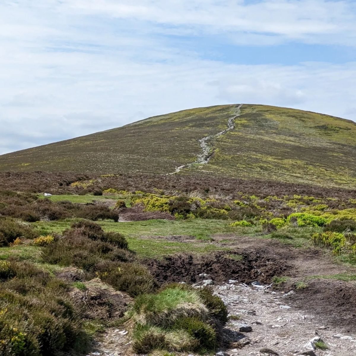Trawiaste wzgórze z wydeptaną ścieżką w górach Wicklow