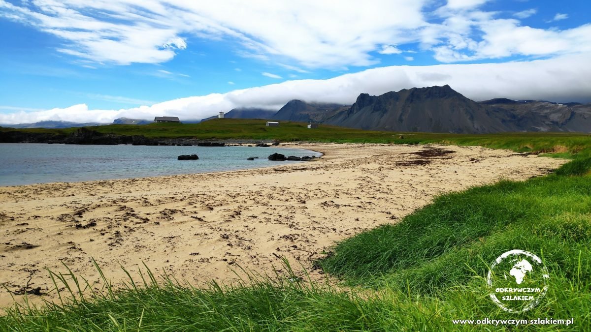 Złota plaża Ytri Tunga na półwyspie Snæfellsnes, przy której oglądaliśmy foki