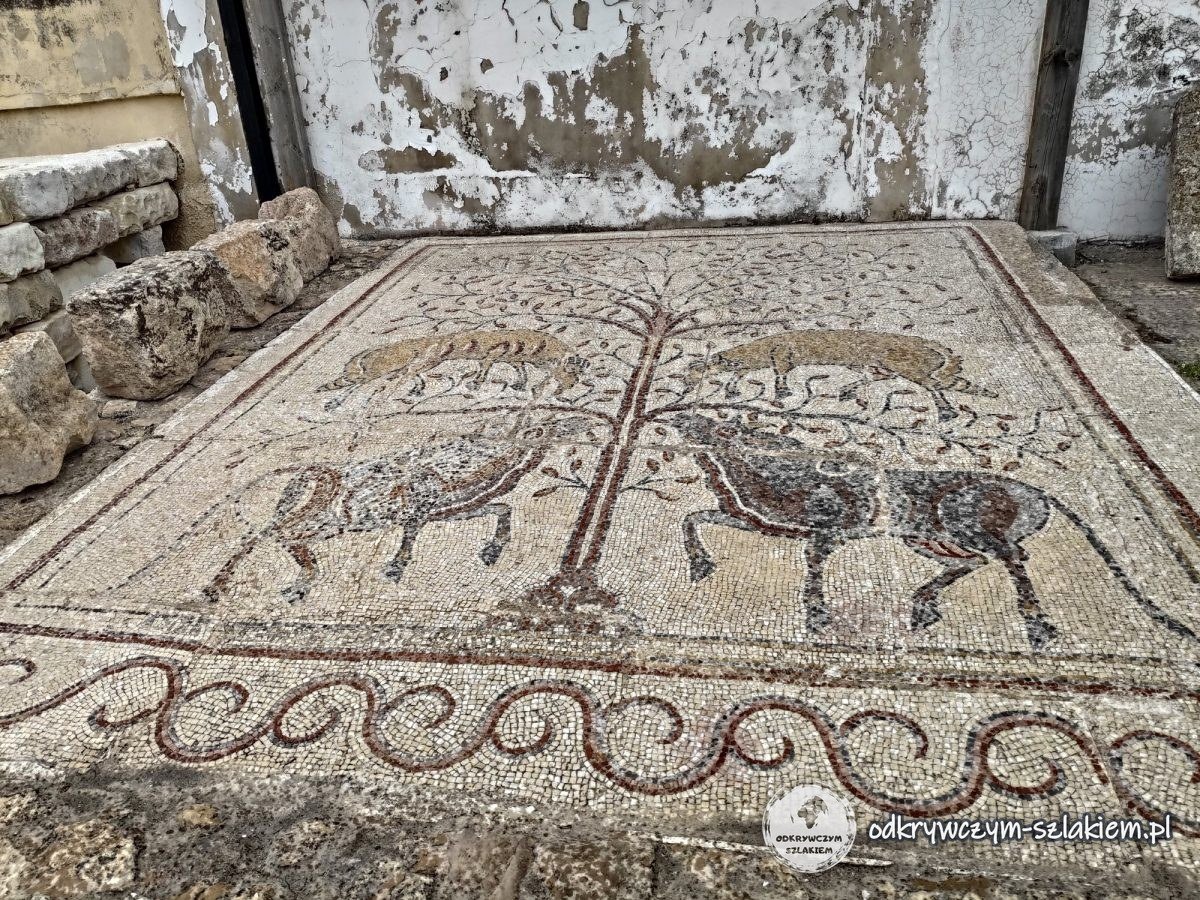 Mozaika ze zwierzętami w Madaba Archaeological Park