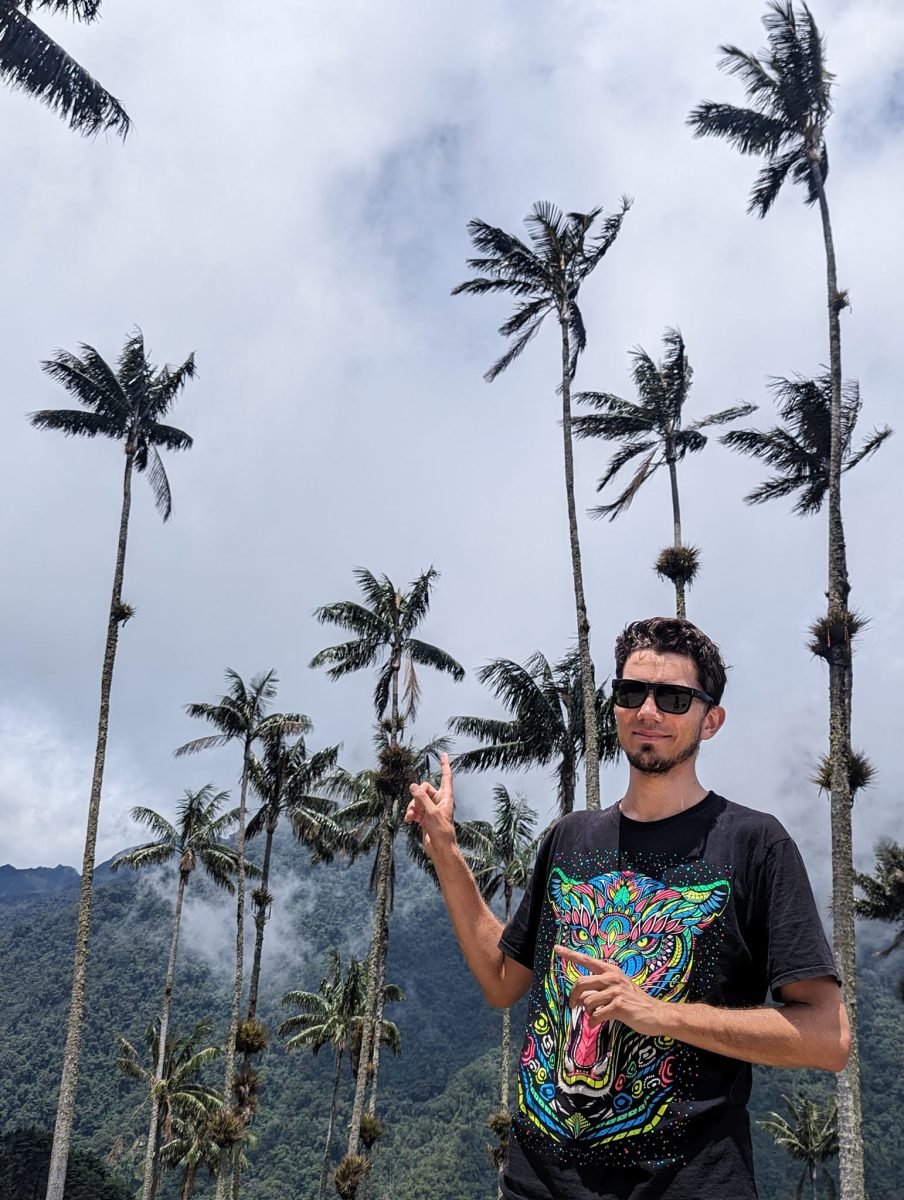 Maciek wskazujący na wysokie palmy woskowe w Valle de Cocora