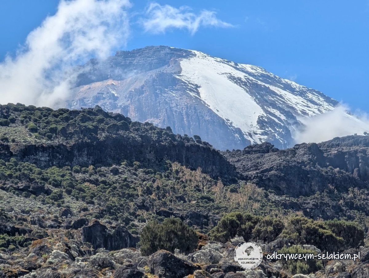 Ośnieżona kopuła Kibo nad pasem skalnych zboczy na trasie Machame