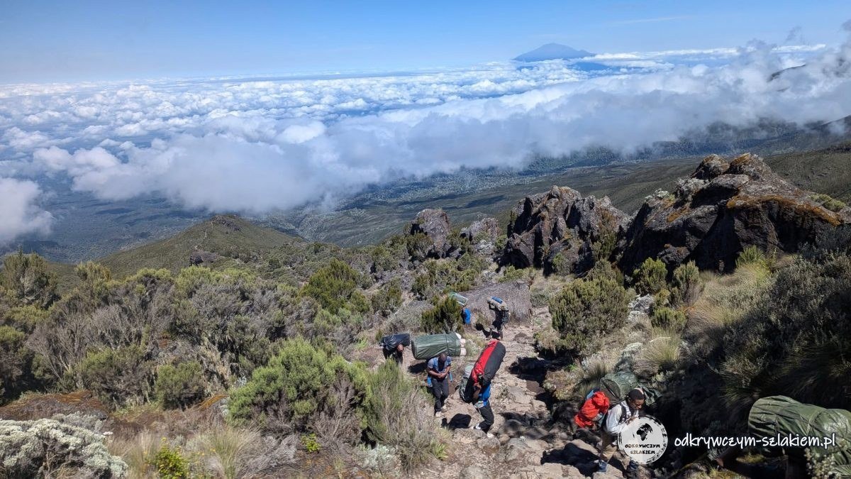 Szlak ponad morzem chmur z wulkanem Meru na horyzoncie, drugi dzień trasy Machame