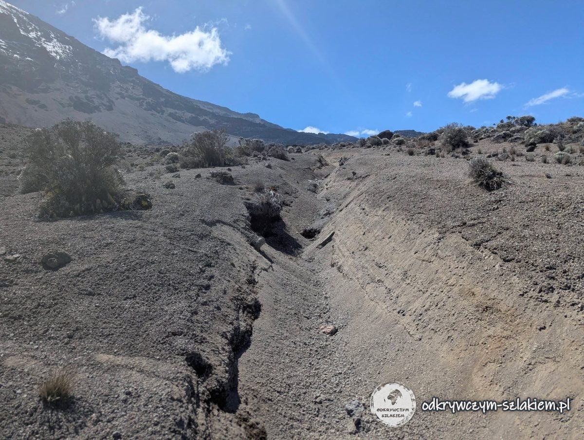 Głęboka rynna wyżłobiona w zboczu na trasie z Barranco do Karanga Camp