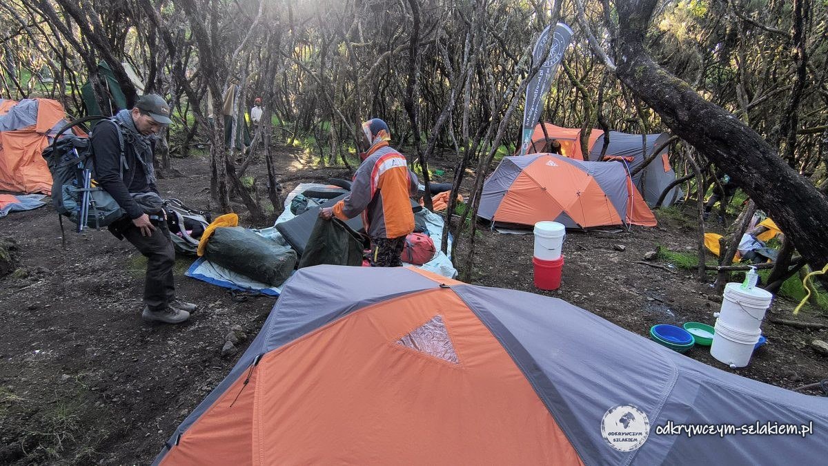 Ostatni poranek w Mweka Camp – zwijanie namiotów w lesie