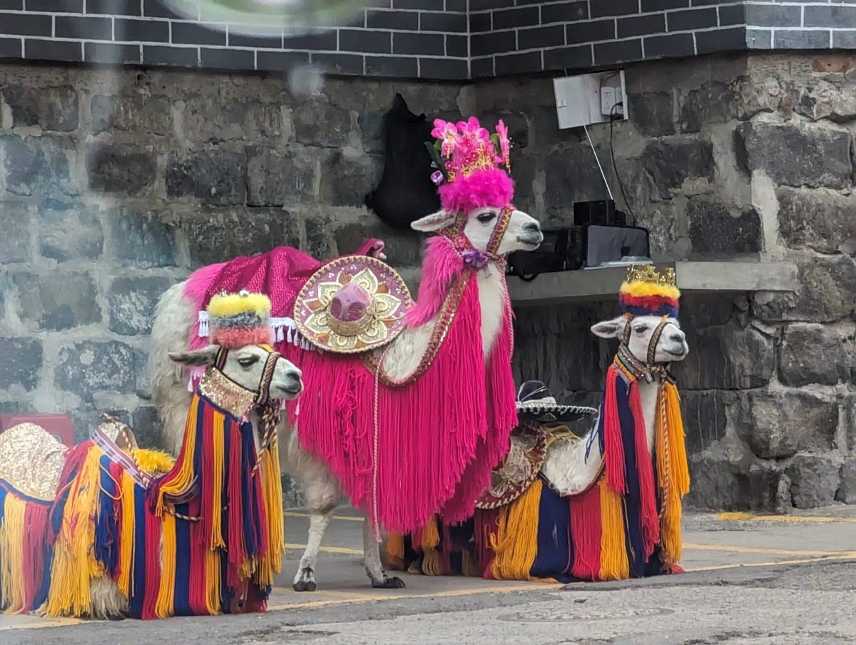 Kolorowo przystrojone lamy przed sanktuarium Las Lajas