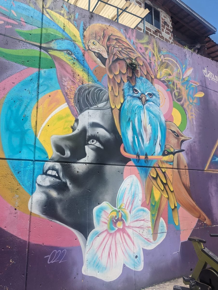 Mural z kobietą i ptakami na ścianie domu w Comuna 13