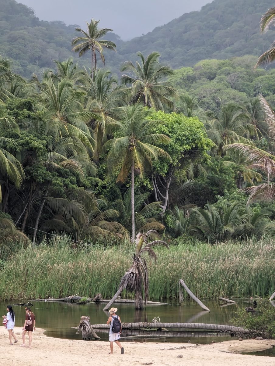 Laguna z palmami i spacerowicze na plaży w parku Tayrona