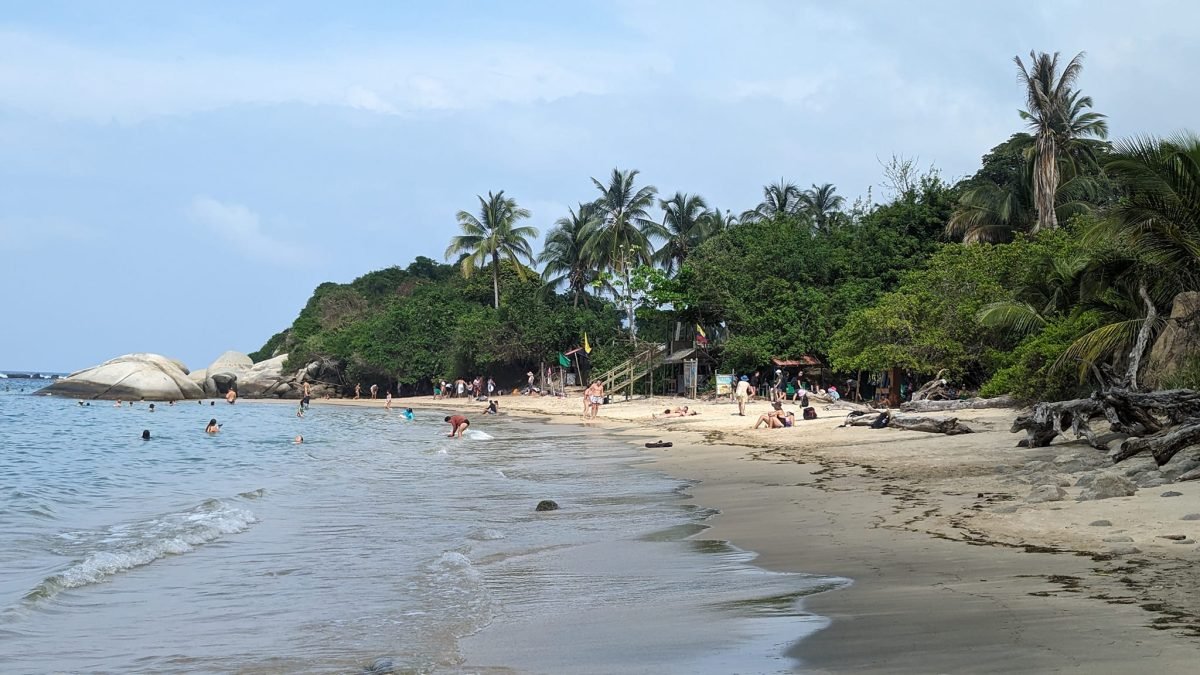 Plaża z kąpiącymi się ludźmi i porośniętym palmami cyplem w parku Tayrona