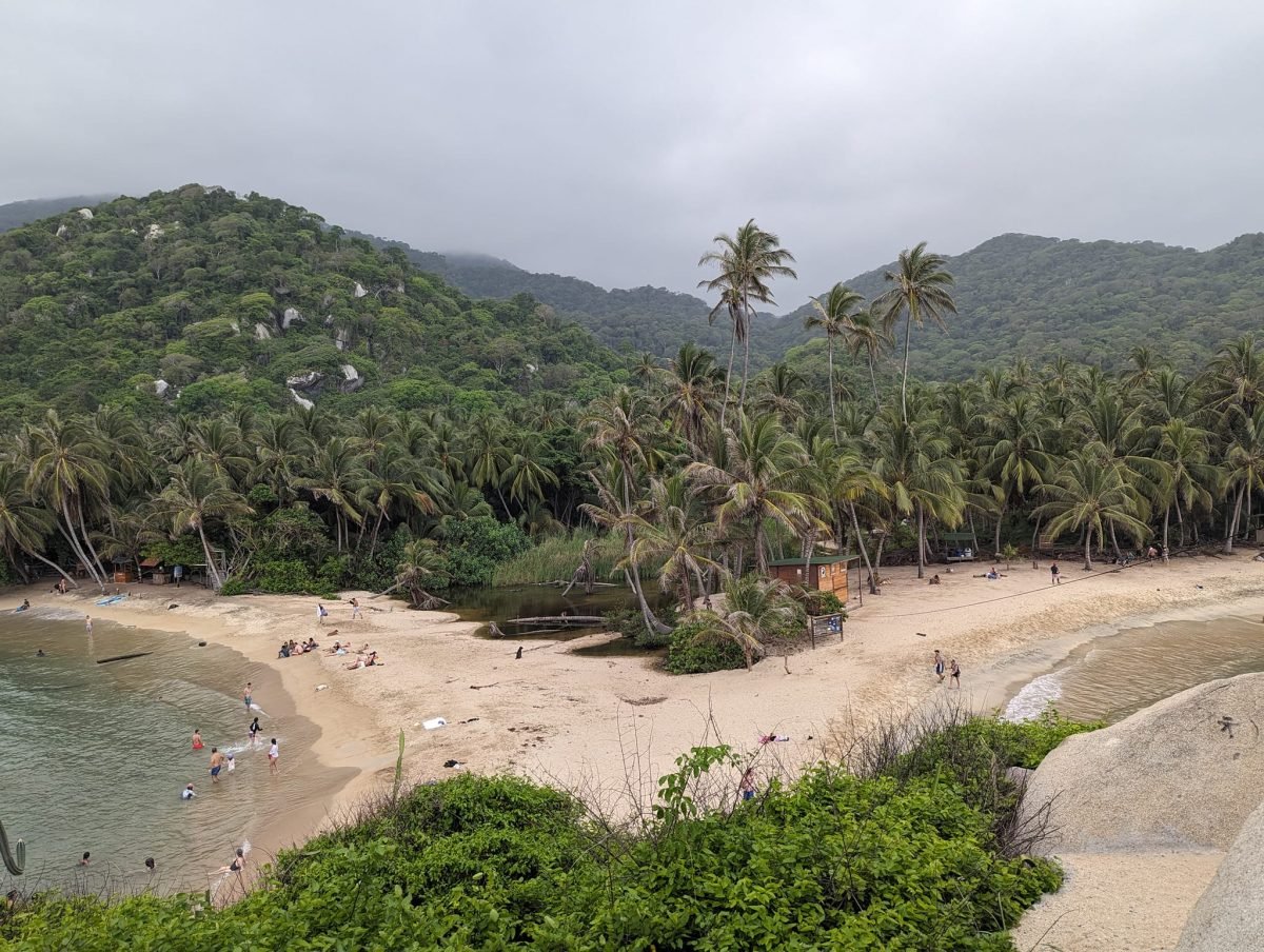 Zatoka z piaszczystą plażą i palmami u stóp wzgórz parku Tayrona