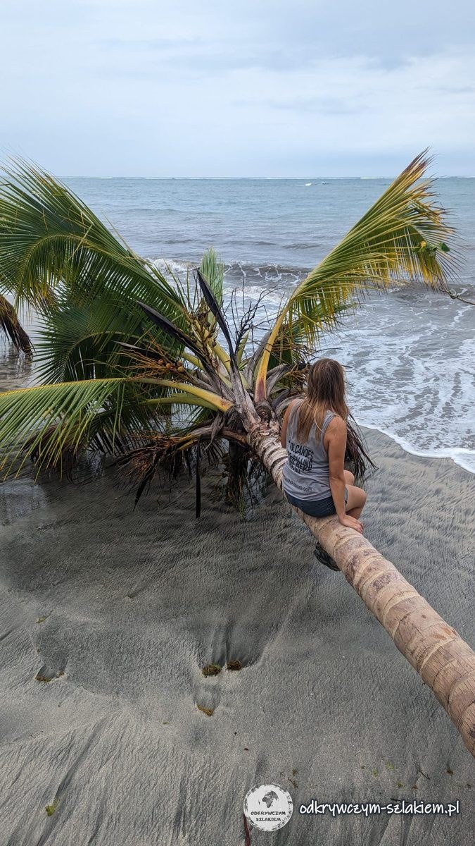 Patrycja na pochylonej palmie na plaży w parku narodowym Cahuita