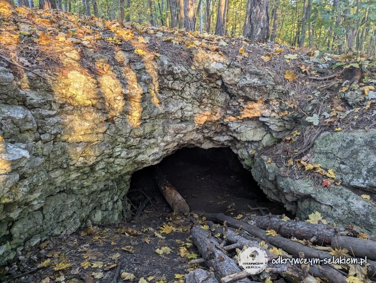 La entrada de una pequeña cueva en la roca caliza de las rocas de Twardowski