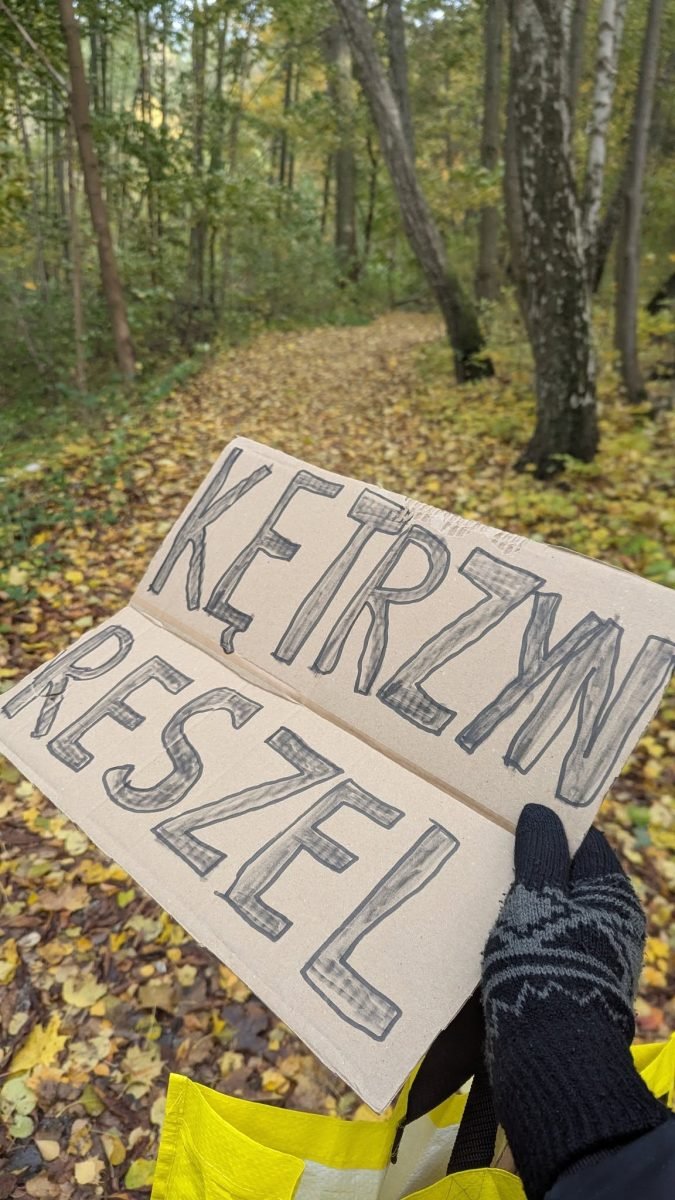 Kartonowe tabliczki z napisami „Kętrzyn” i „Reszel” na jesiennych liściach w lesie
