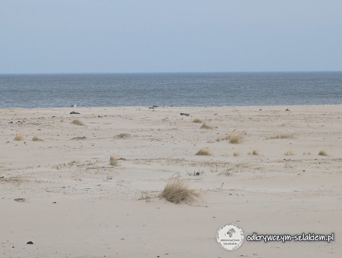Playa de arena vacía con matas de hierba en el golfo de Gdańsk junto al canal de la Lengua del Vístula