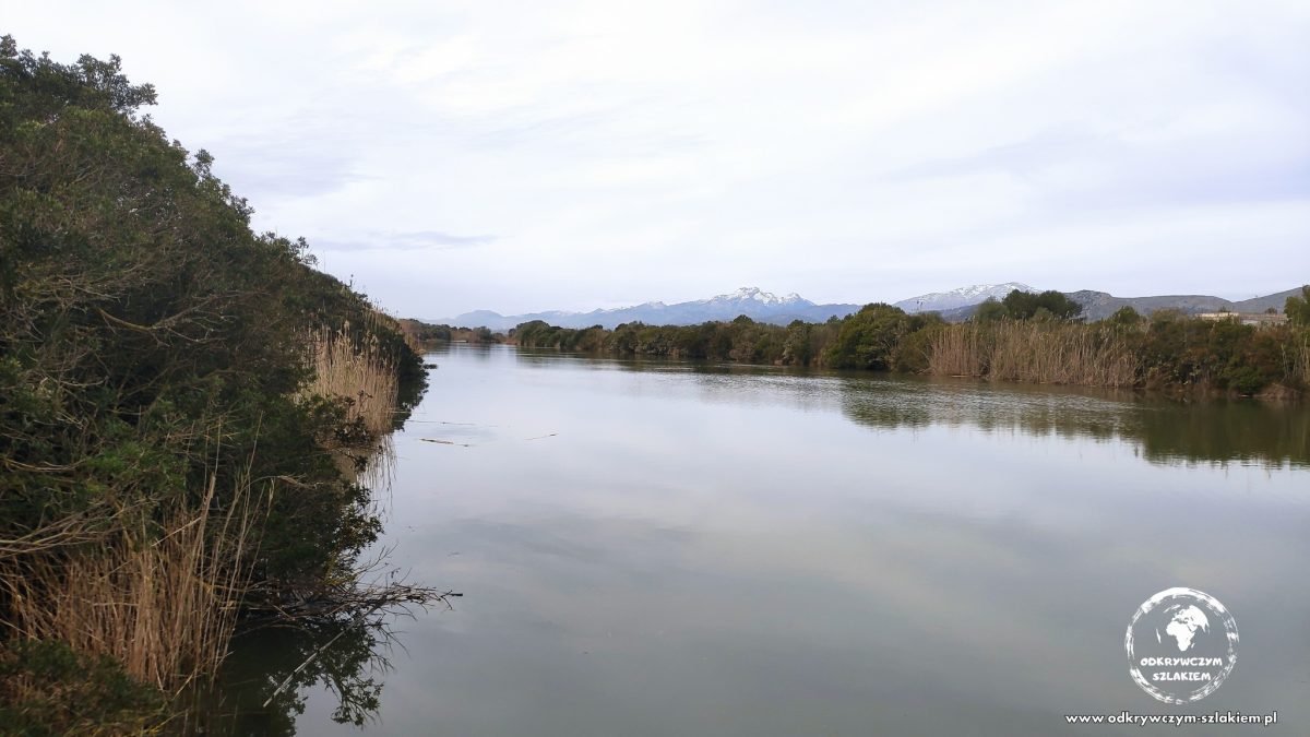 Kanał i trzciny w parku przyrody s'Albufera na Majorce