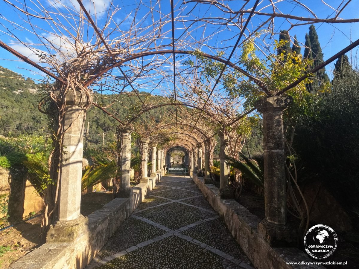 Pergola porośnięta pnączami w ogrodach Jardins d'Alfàbia