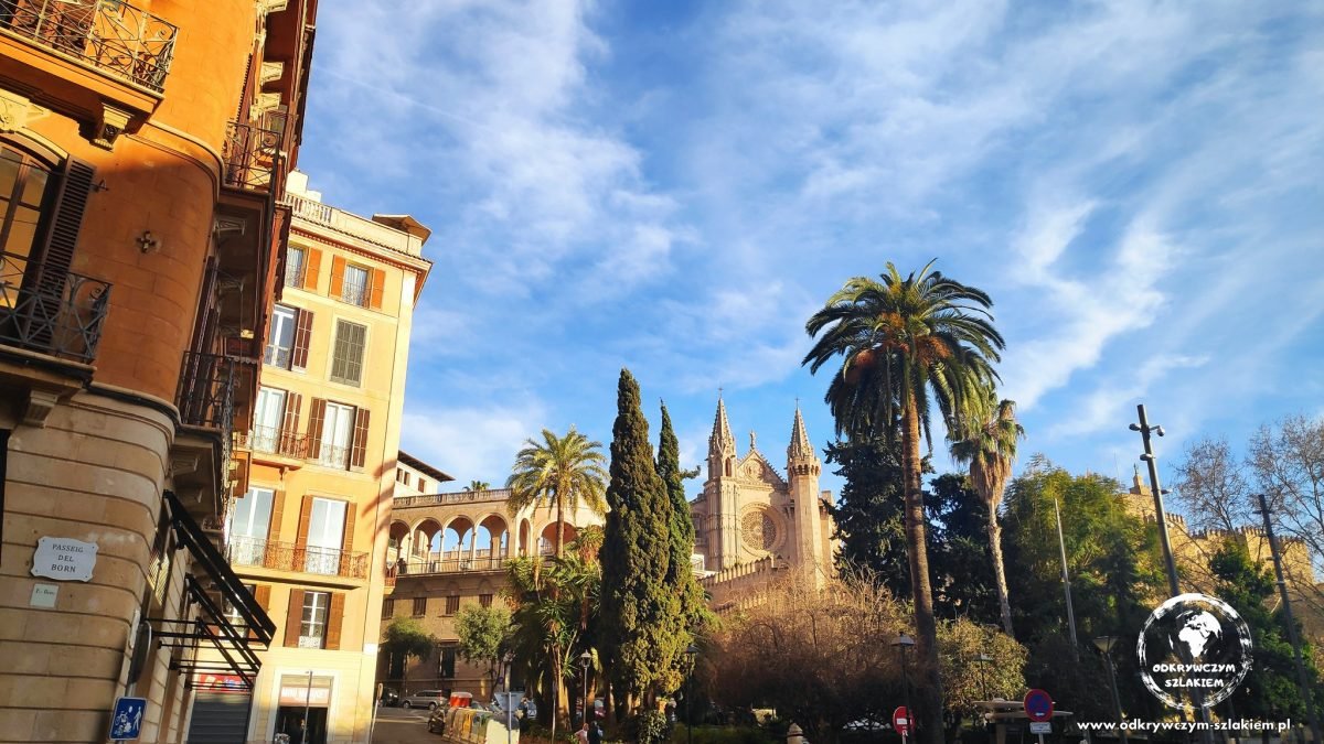 Uliczka z palmami w Palma de Mallorca, w tle katedra