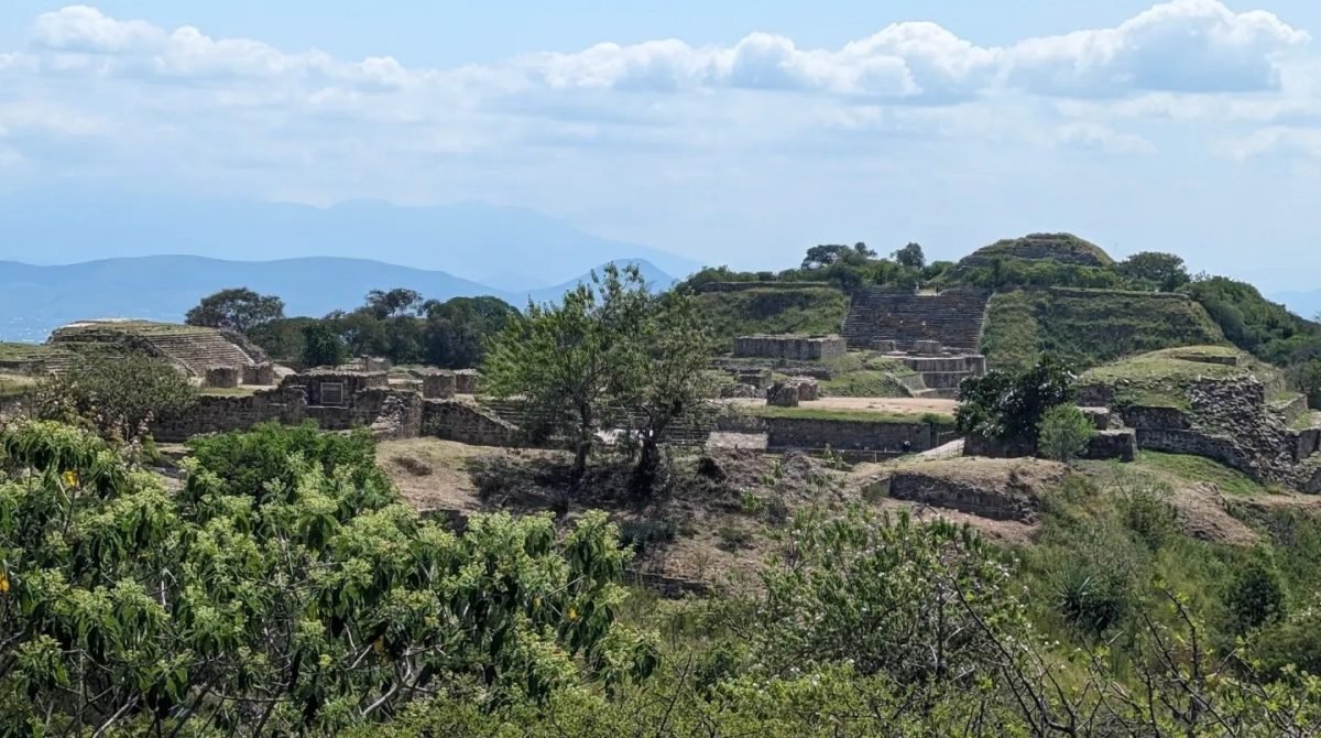 Ruiny budowli porośnięte zielenią na wzgórzu Monte Albán