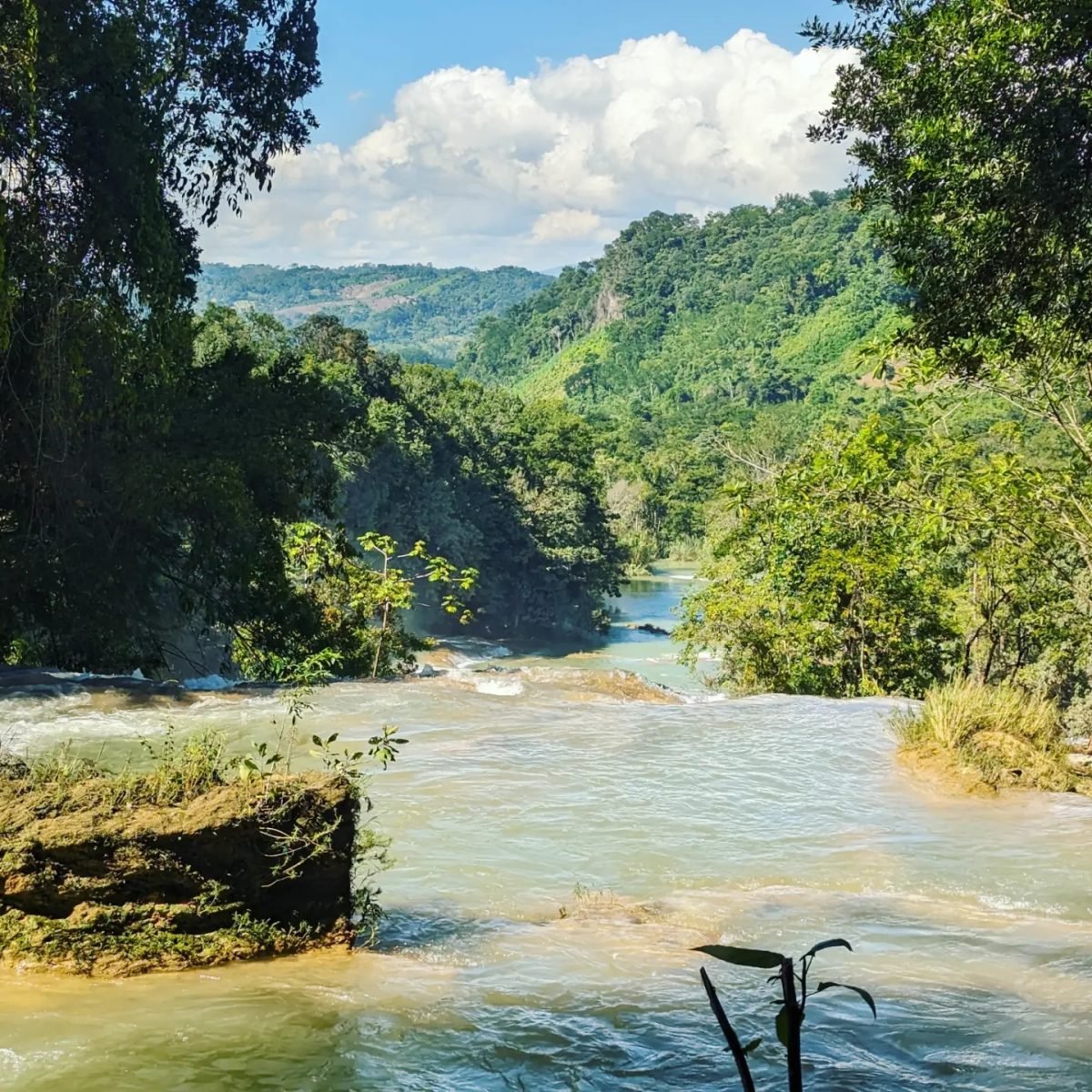 Dolina rzeki poniżej kaskad Agua Azul, w tle zalesione wzgórza