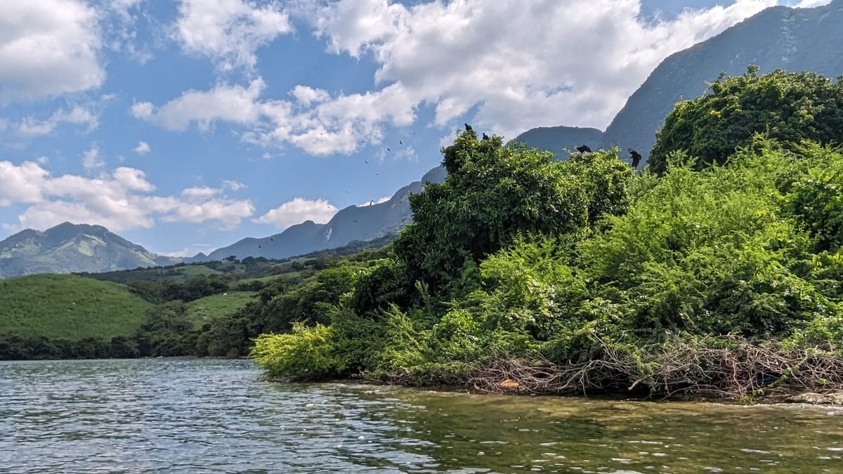 Zielone brzegi rzeki na początku rejsu po Kanionie Sumidero