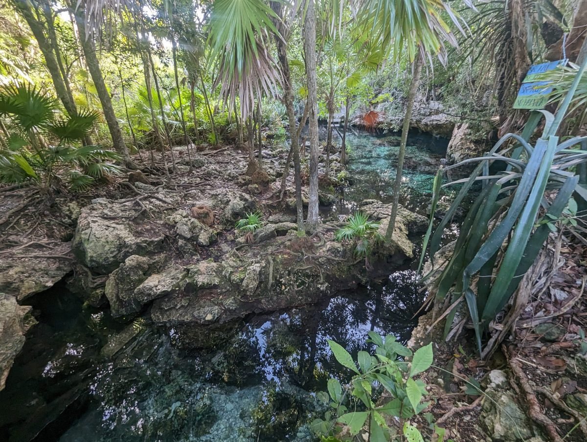 Cenote wśród skał i palm w Chemuyil