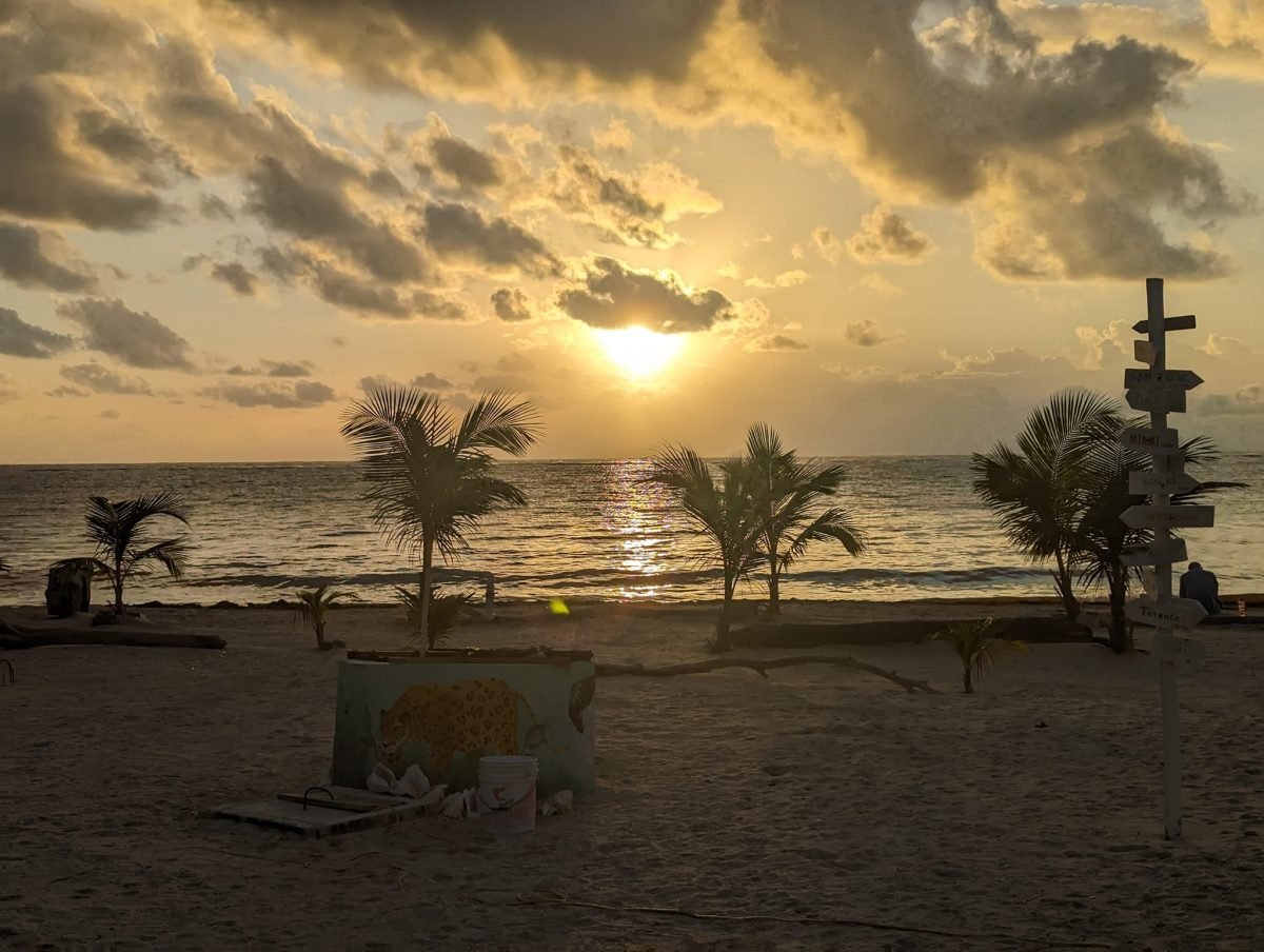 Palmy na plaży kempingu pod Mahahual o wschodzie słońca