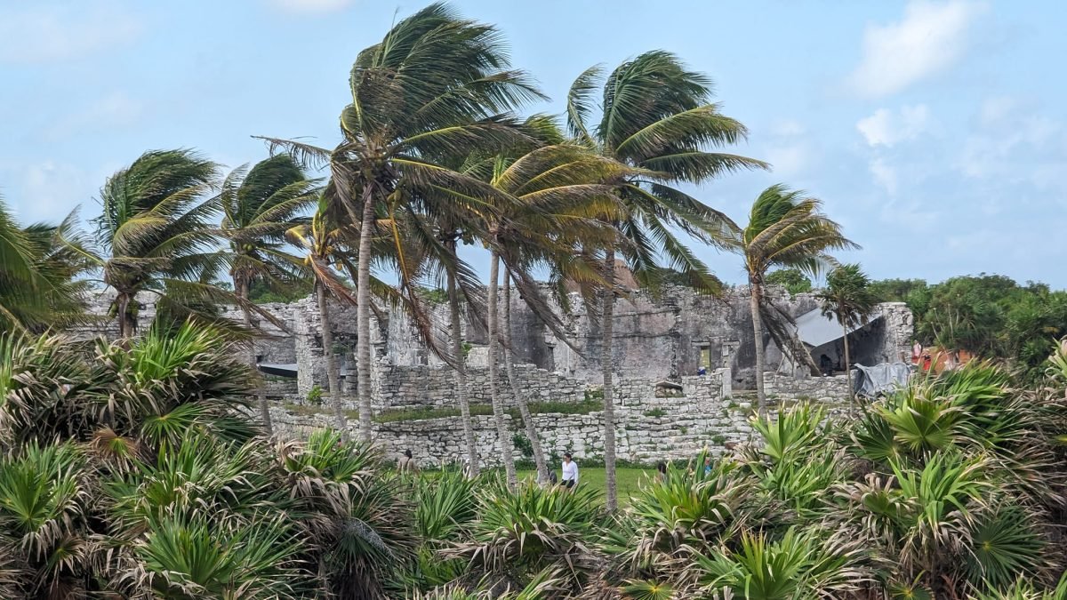 Palmy pochylone na wietrze nad ruinami w Tulum