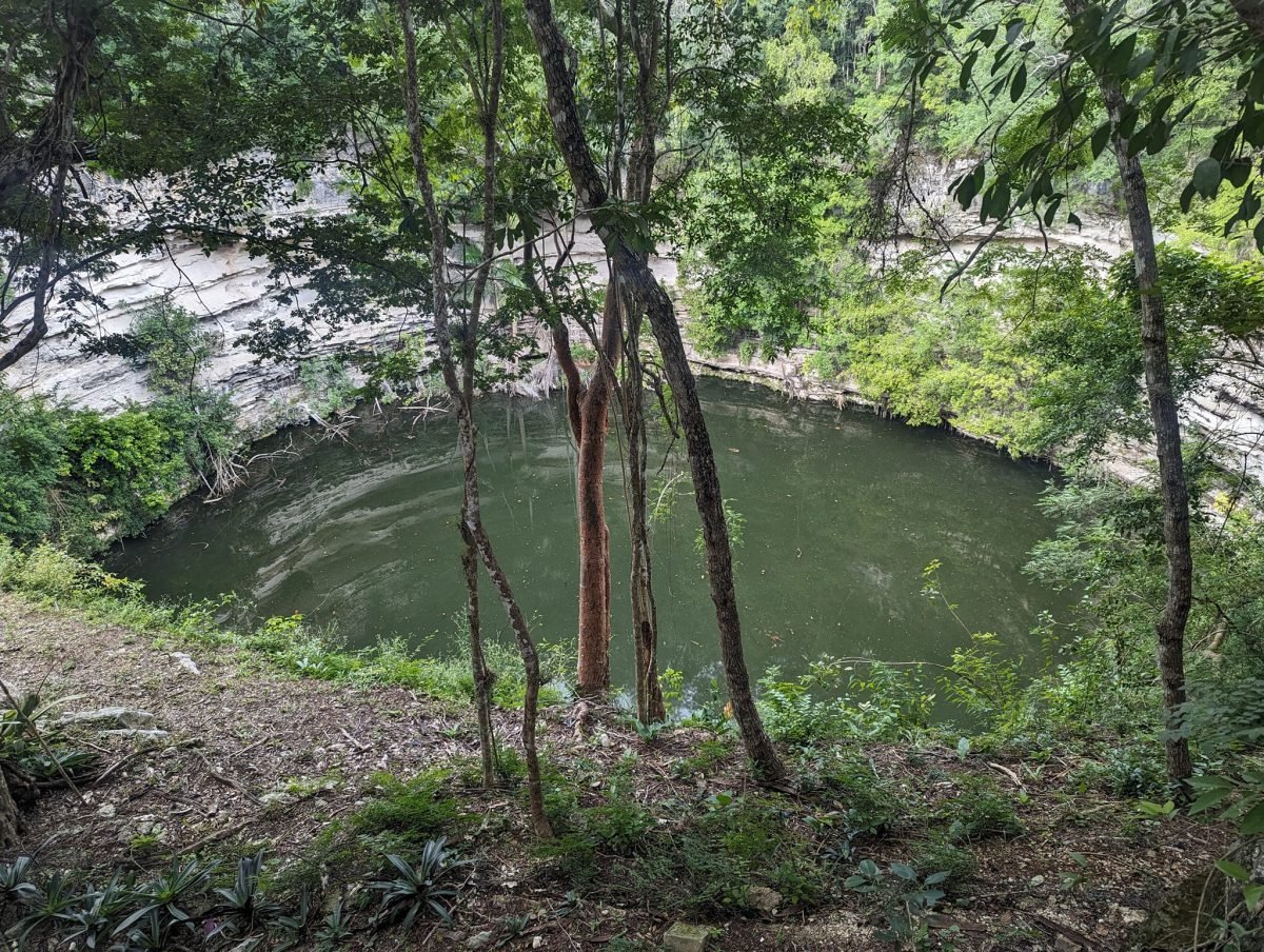 Jedna z cenot na terenie Chichén Itzá – zielona woda otoczona drzewami