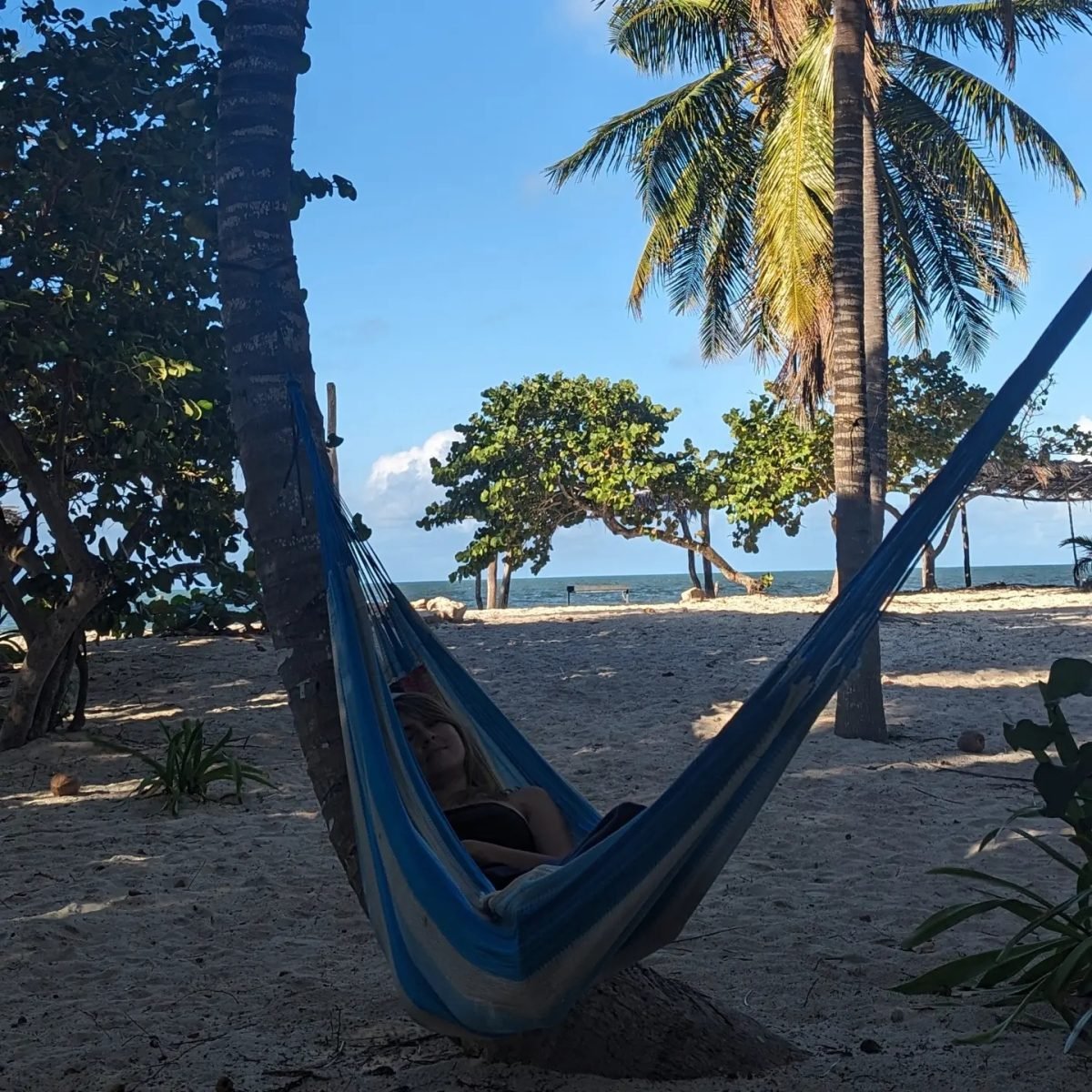 Hamak rozwieszony między palmami nad plażą w San Crisanto