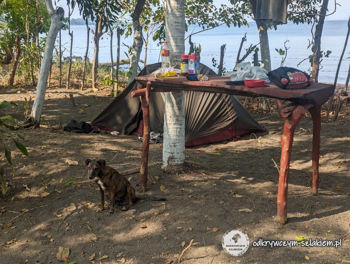 Nasz namiot pod drzewami na campingu Doña Nella w Moyogalpie, w tle jezioro Nikaragua
