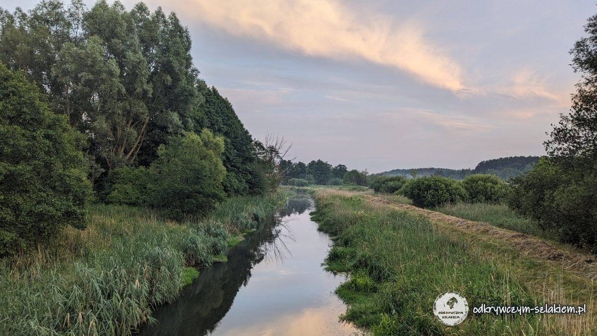The Łyna between meadows and thickets in the south of Olsztyn on a July evening