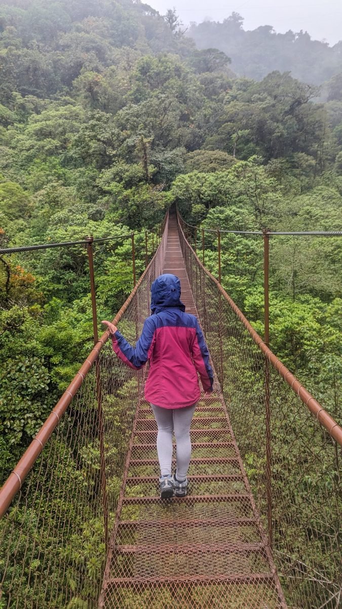 Przejście po wiszącym moście wśród zamglonego lasu w Boquete Tree Trek