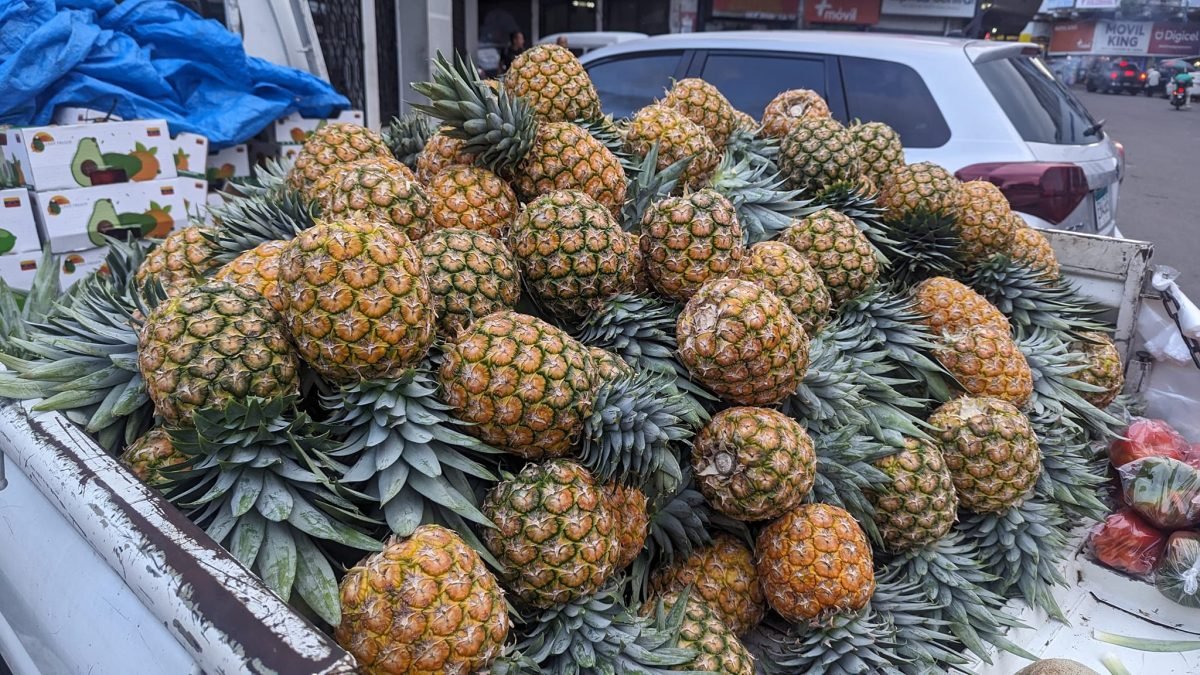 Stos ananasów na straganie w Panama City