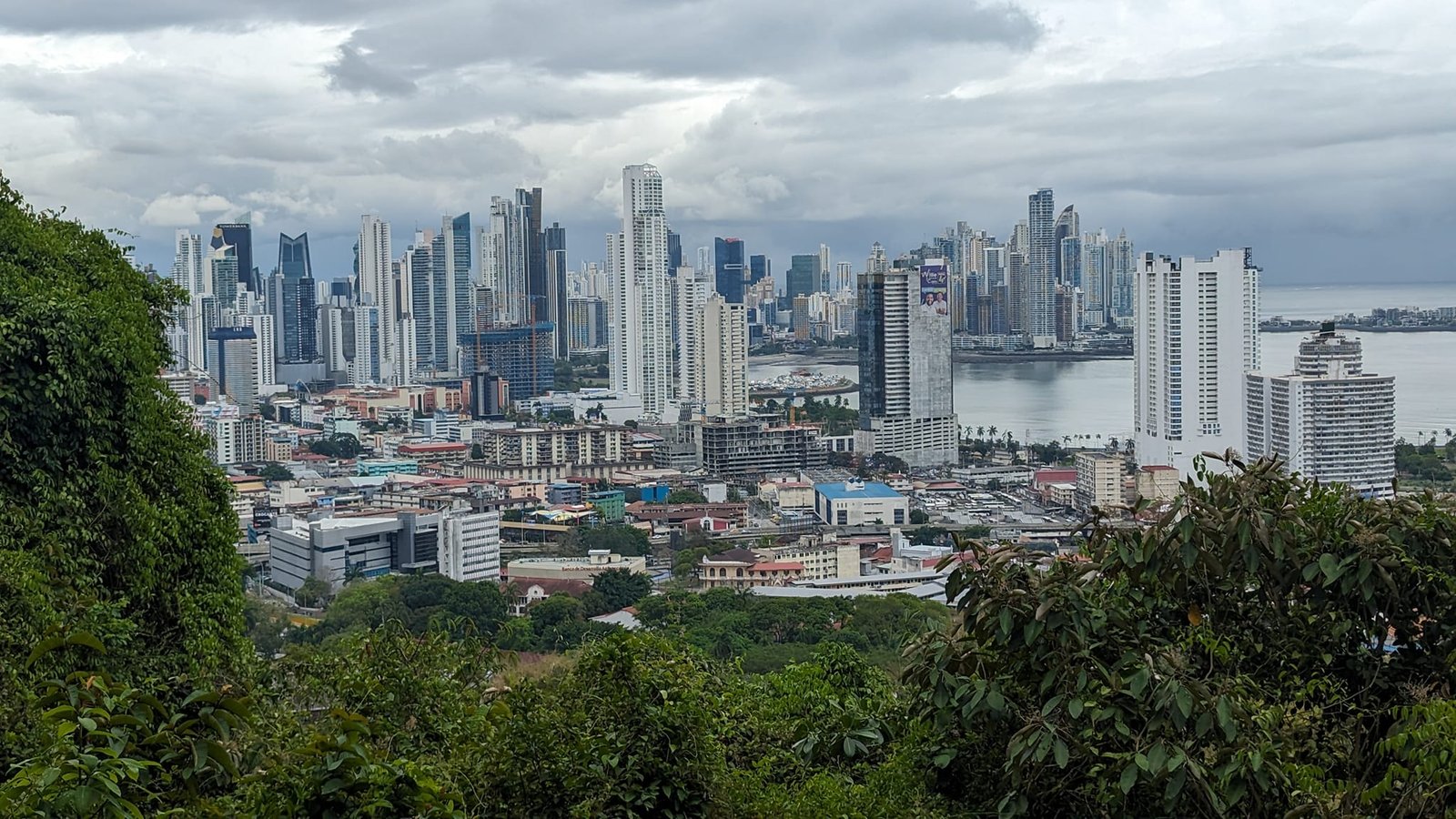 Wieżowce Panama City nad zatoką wyrastające zza lasu tropikalnego, widziane z zalesionego wzgórza